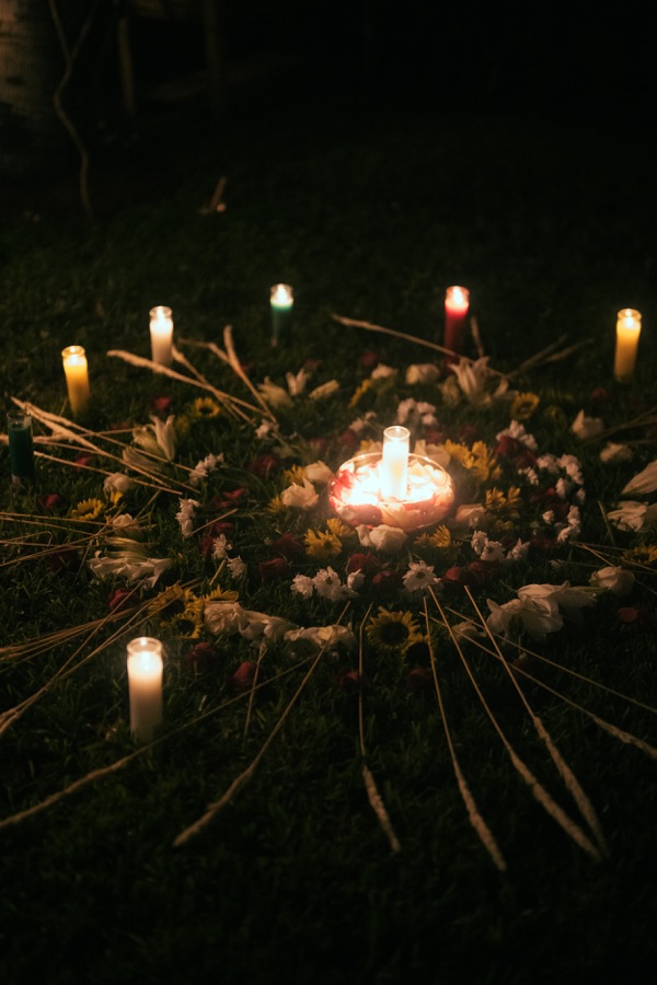 Plant Medicine Sessions session